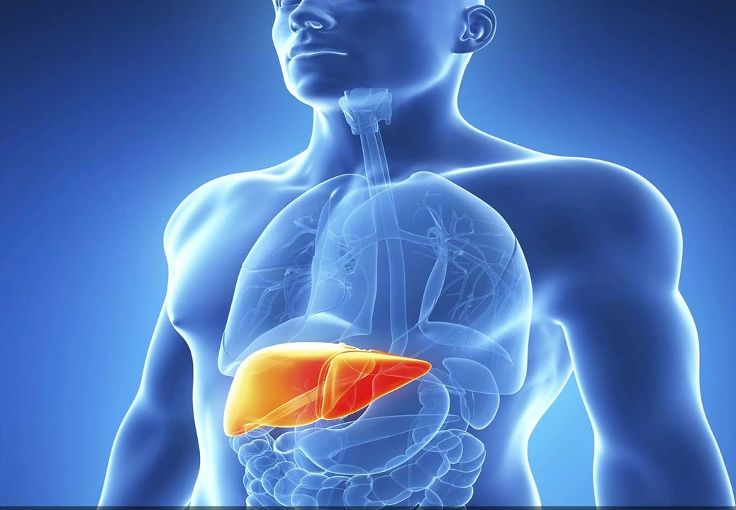 The Link between Stress and Chronic Inflammation of the Pancreas
